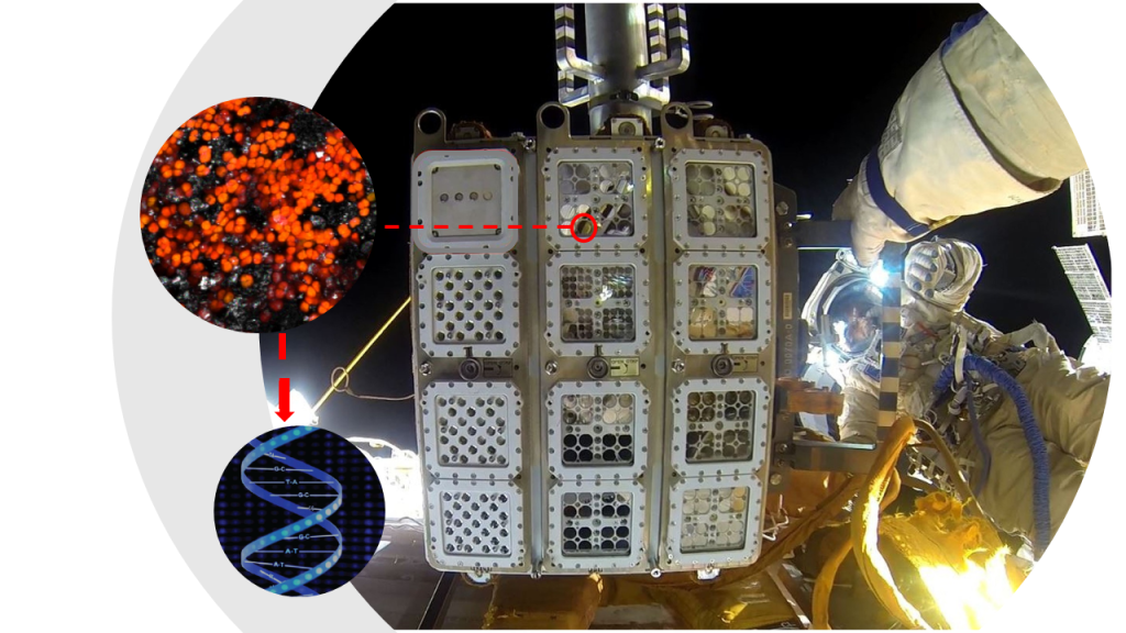 One Extremophile Eats Martian Dirt, Survives In Space, And Can Create Oxygen For Colonies