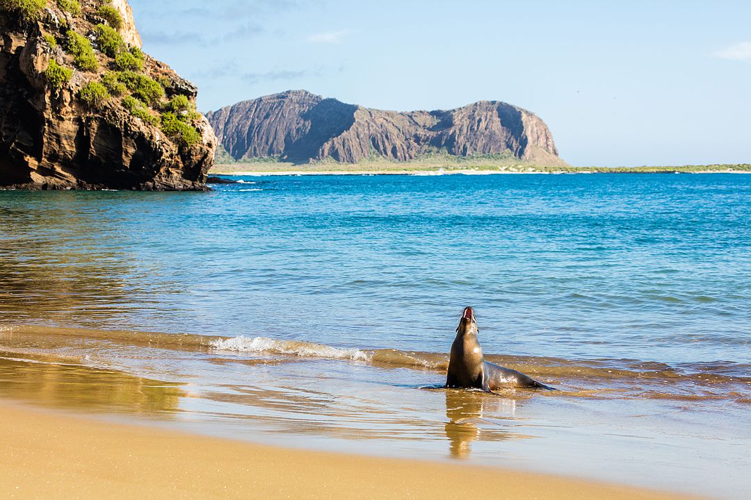 Islands like Galapagos provide great insight into how we might predict contamination risks on alien worlds (Credit : Diego Delso)