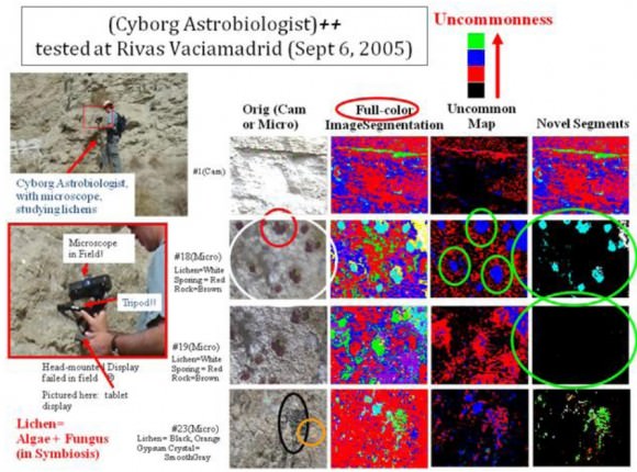 The Hopfield AI system was able to successfully identify lichen spores imaged by a digital microscope as a novel feature on rock formations in Rivas Vaciamadrid, Spain. Image Credit: Patrick McGuire arXiv:0910.5454