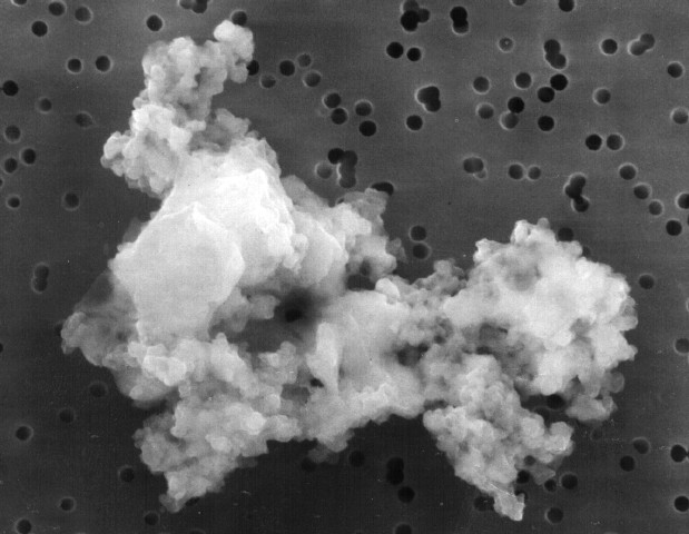 This piece of interplanetary dust is thought to be part of the early solar system and was found in our atmosphere, demonstrating lightweight particles could survive atmospheric entry as they do not generate much heat from friction. Similar particles from other star systems could be landing on Earth. Courtesy NASA