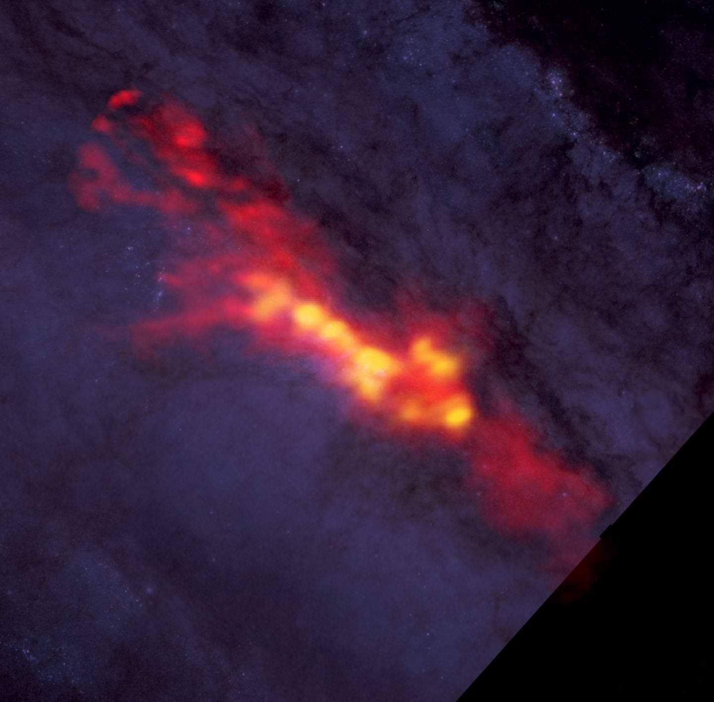 How do Gas and Stars Build a Galaxy?
