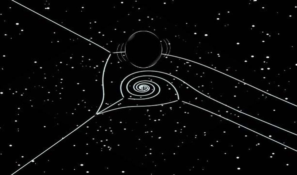 The Vibrational Lives of Black Holes