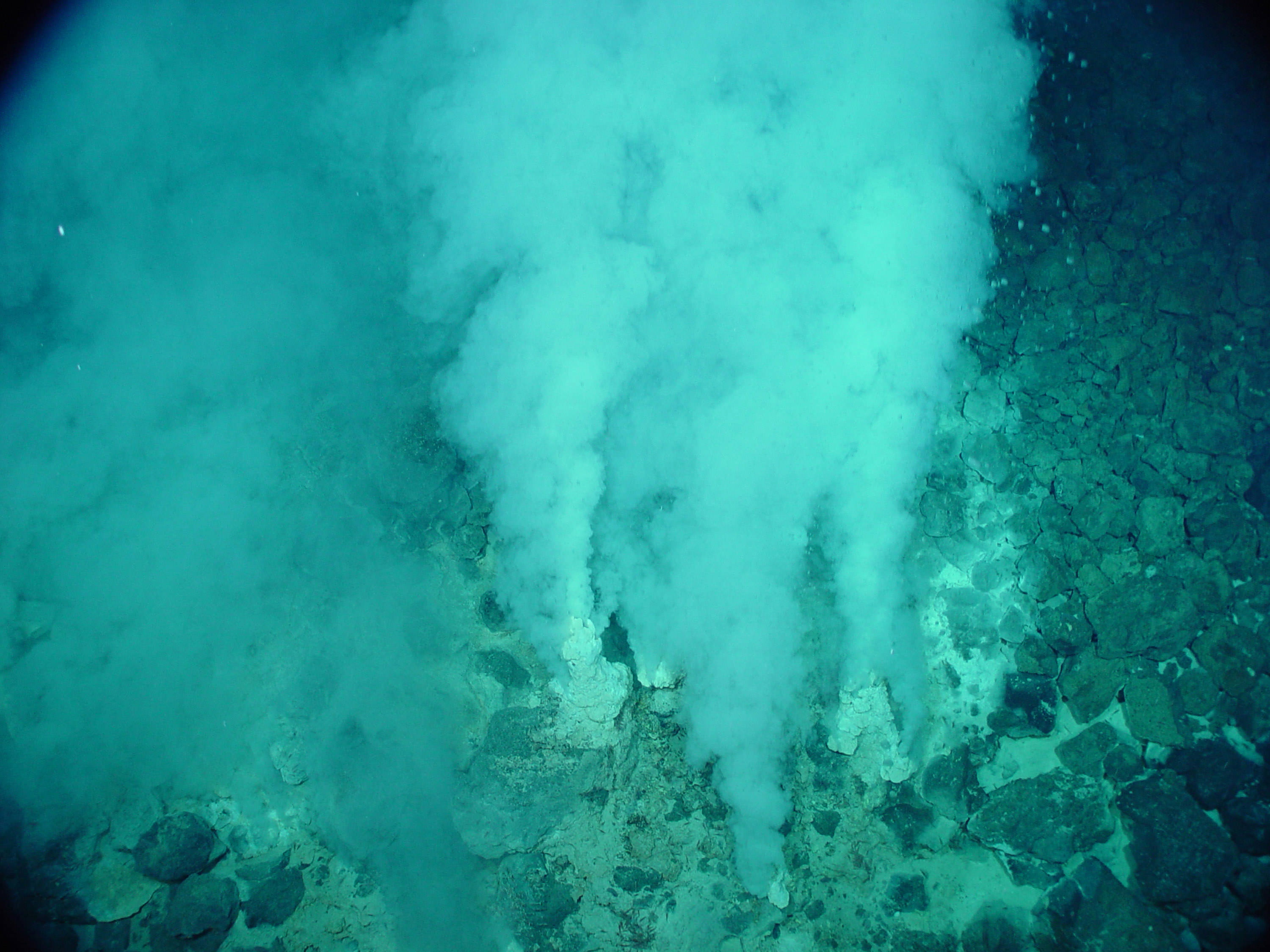 Does Life on the Seafloor Predict Life on Other Worlds?
