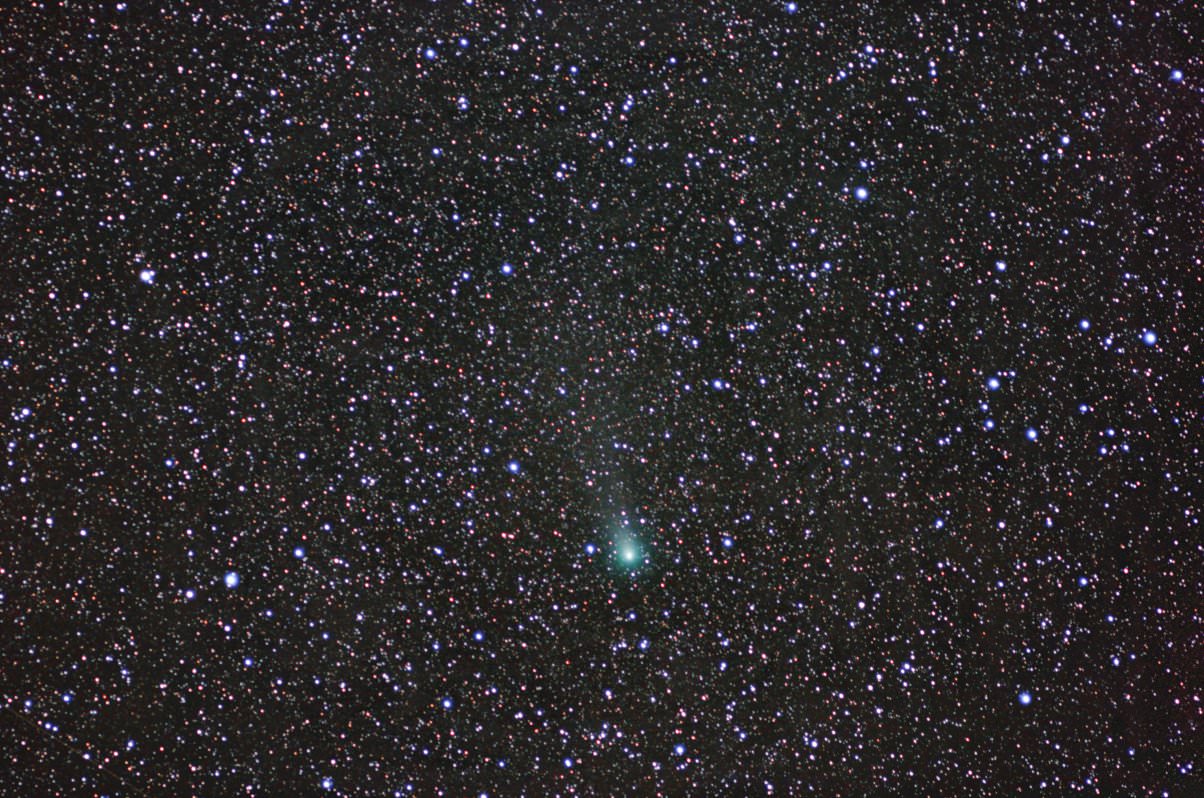 Astrophoto: Comet Garradd by Bob Christmas