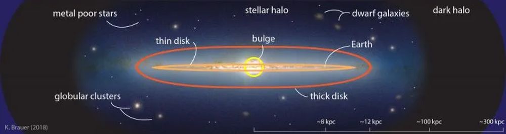 The JWST Shows Us How Galaxies Evolve