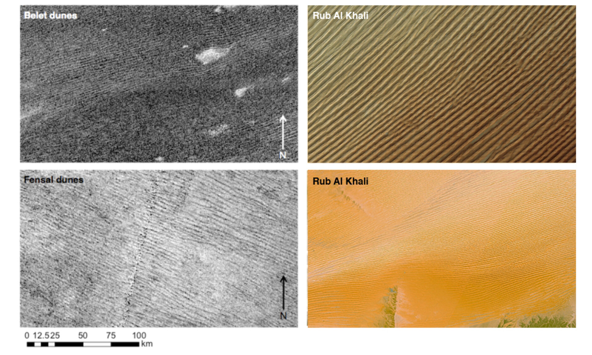 Are Titan&#039;s Dunes Made of Comet Dust?