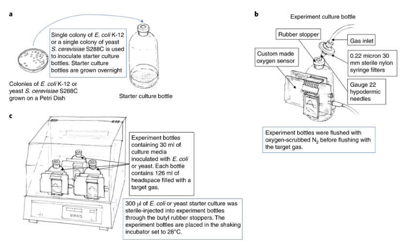 An illustration of the experiment. Image Credit: Seager et al, 2020.