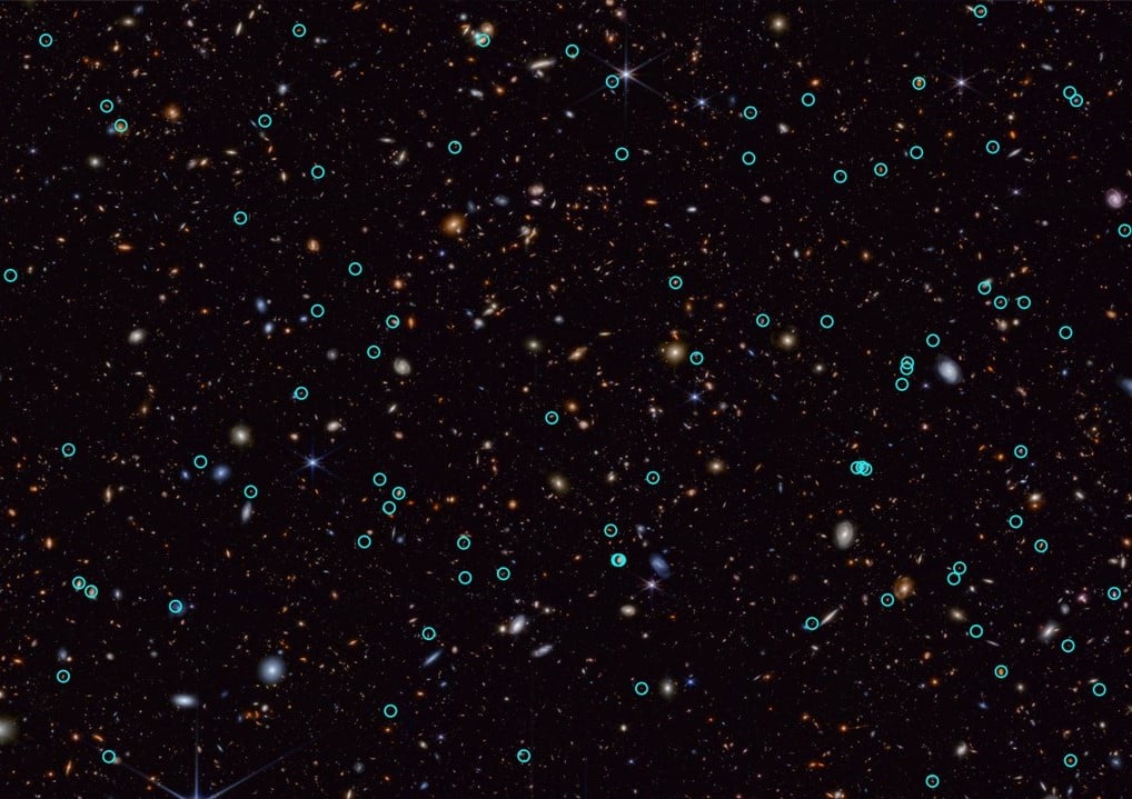 Webb is an Amazing Supernova Hunter