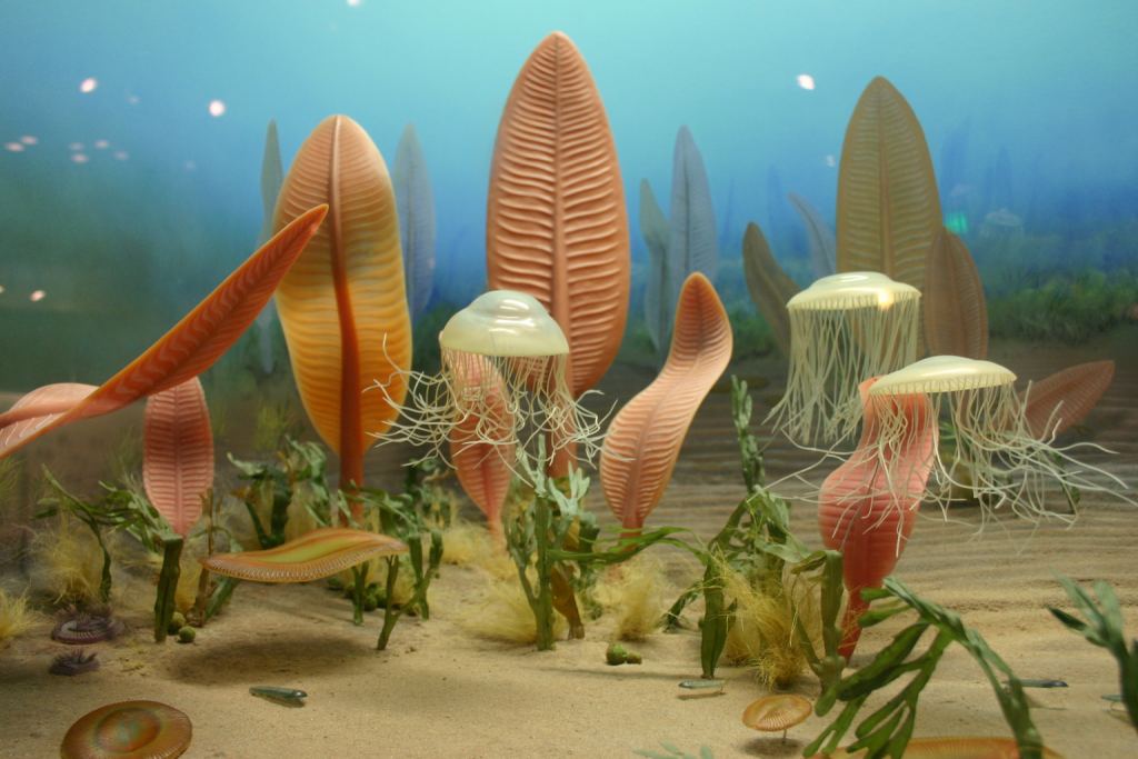 An artist's illustration of life during the Ediacaran. Life was becoming more complex and spreading around the globe. Then something happened. Image Credit: By Ryan Somma - Life in the Ediacaran SeaUploaded by FunkMonk, CC BY-SA 2.0, https://commons.wikimedia.org/w/index.php?curid=24277381