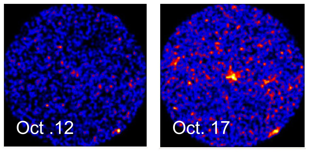 Another X-ray Nova Detected by ISS, Swift