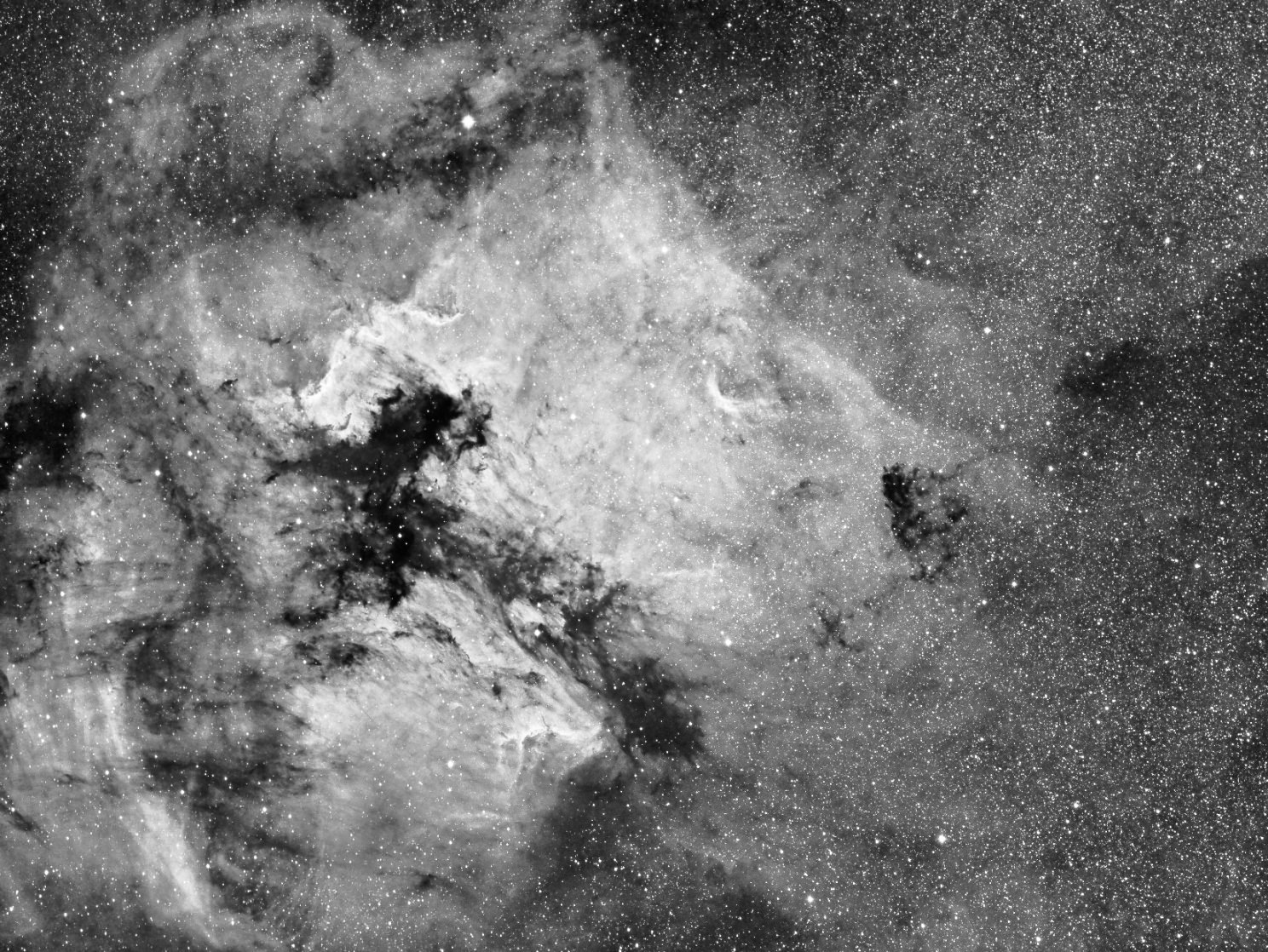 Astrophoto: A Different Look at North American Nebula by Carl Larson