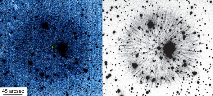An Amateur Astronomer Discovered One-of-a-Kind Supernova Remnant