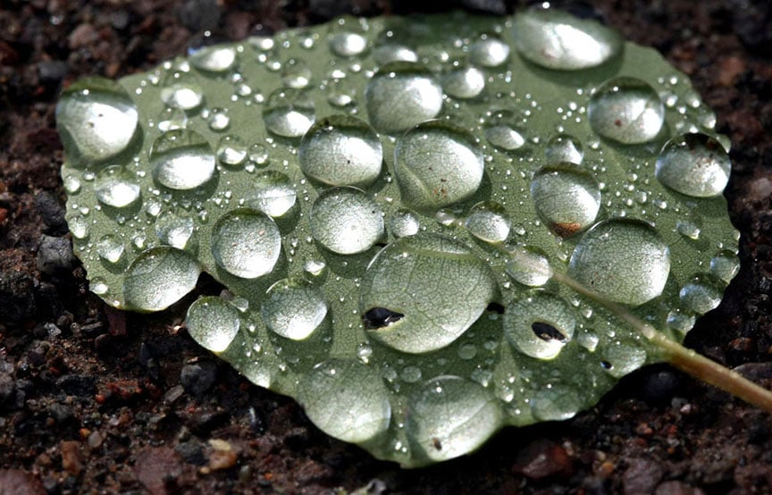 Finite Light &mdash; Why We Always Look Back In Time