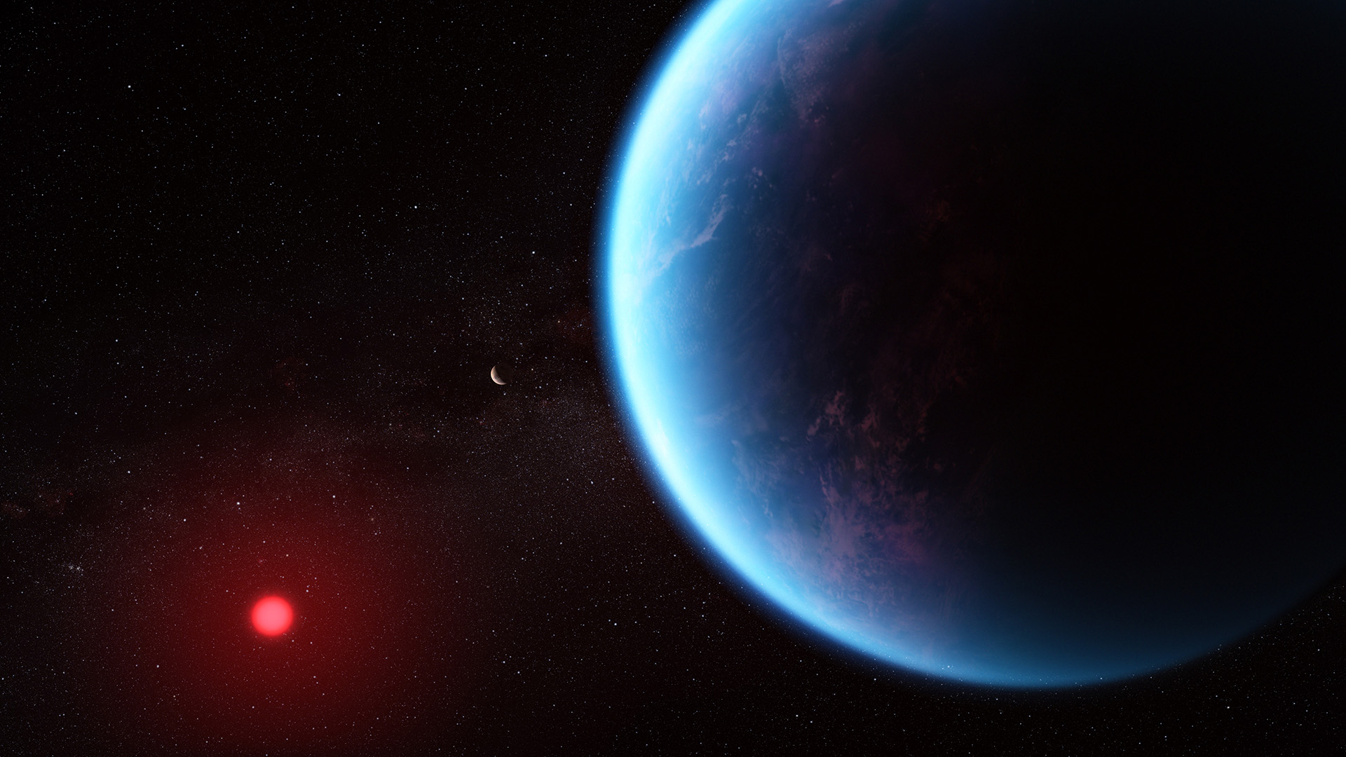 If Hycean Worlds Really Exist, What are Their Oceans Like?