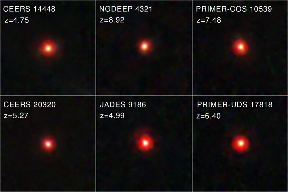 Are the JWST's Little Red Dots Actually Supermassive Black Hole Seeds?