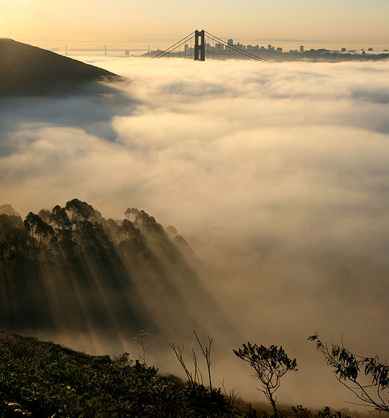 How Does Fog Form?