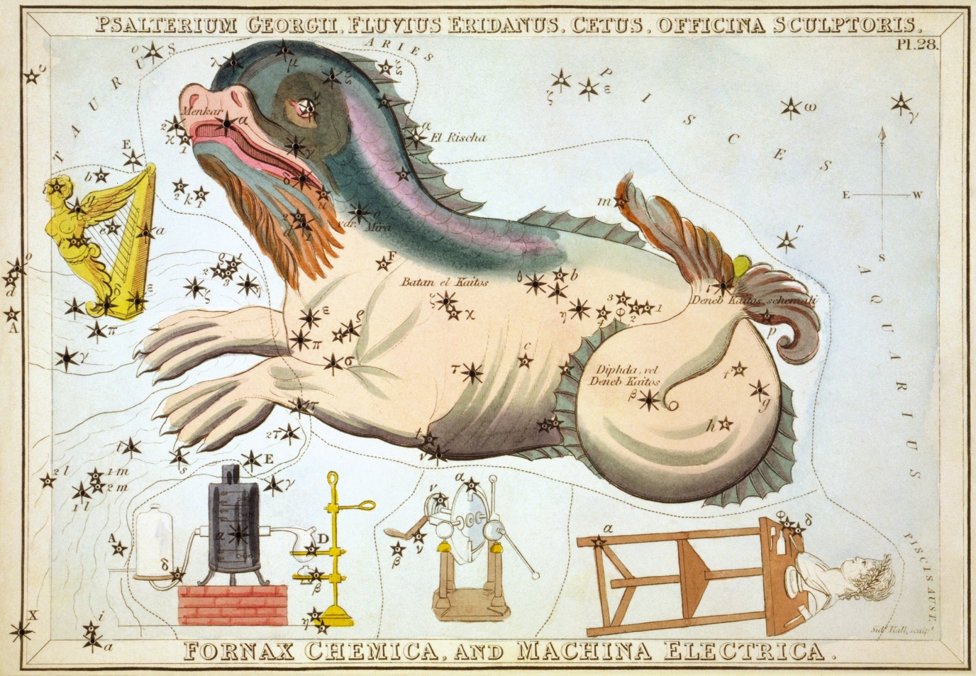 The Constellation Fornax