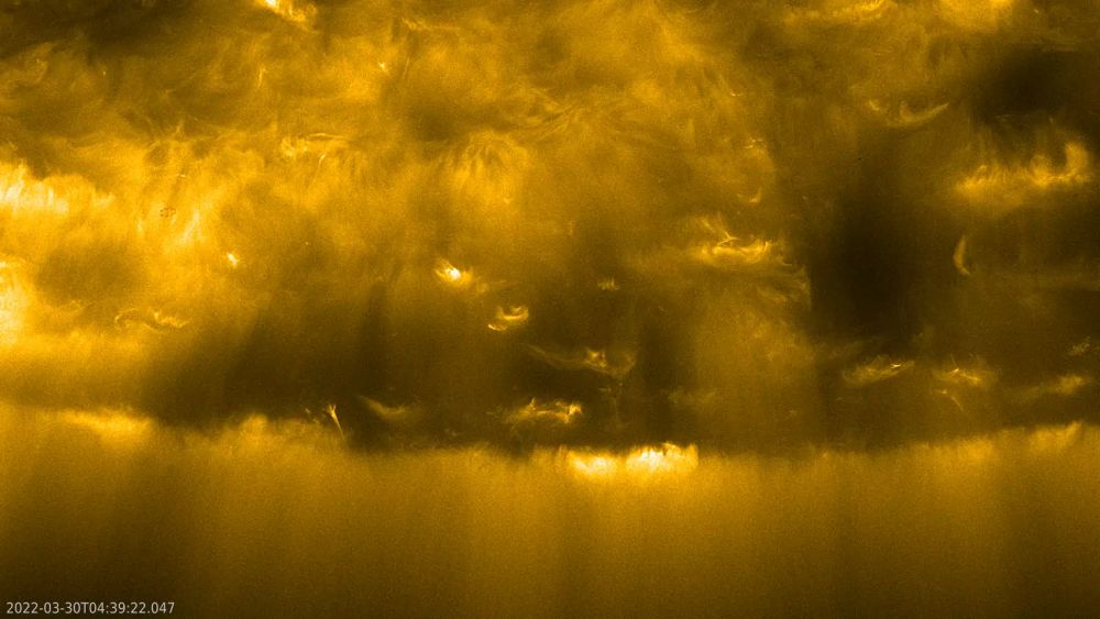 The Solar Orbiter is Giving Us an Unprecedented Look at the Sun's Poles