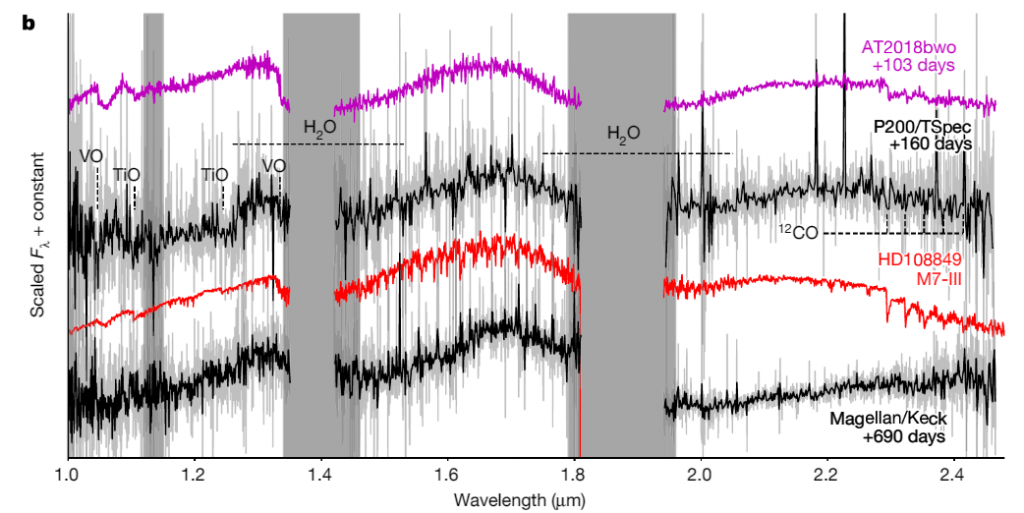 This figure from the study shows some spectra from ZTF SLRN-2020 as well as the spectra of two other objects for comparison. The Palomar Observatory infrared observations are in the black line labelled P200 for the Palomar 200-inch telescope. The presence of VO (vanadium oxide,) TiO (titanium oxide,) and others signals much cooler temperatures than exist at a stellar binary. Image Credit: De et al. 2023.