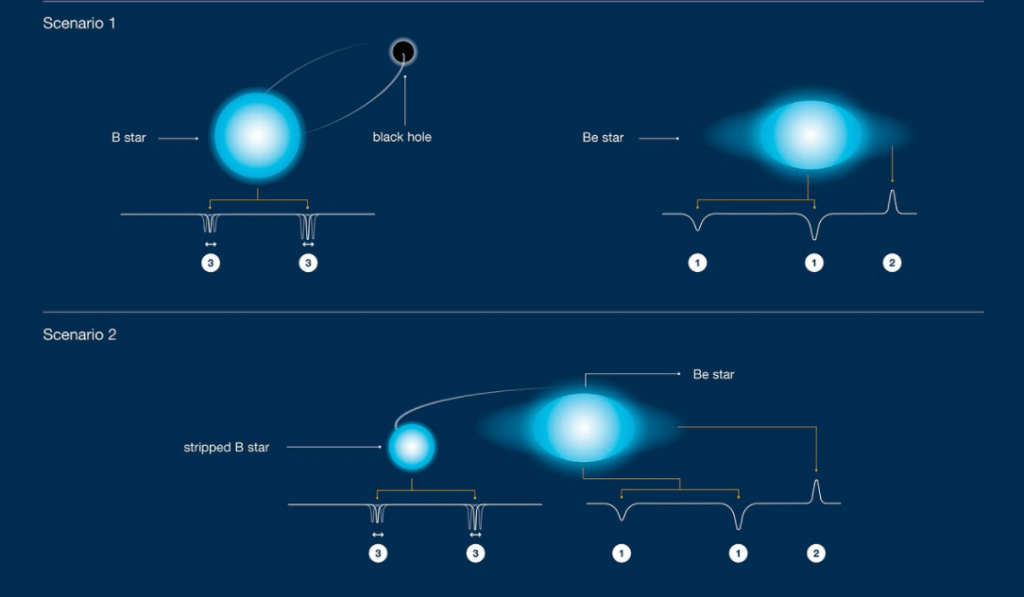 This schematic illustration shows the observations and competing scenarios for HR 6819. Sizes and distances are not to scale. Top: original scenario, with a giant B star orbiting a black hole, and a rapidly-spinning Be star further away. Bottom: alternative scenario without a black hole, with a stripped B star that is less massive than the Be one. Note that the spectral lines of the Be star do wobble very slightly (not shown here).
Credit: ESO/J. C. Munoz-Mateos, D. Catricheo