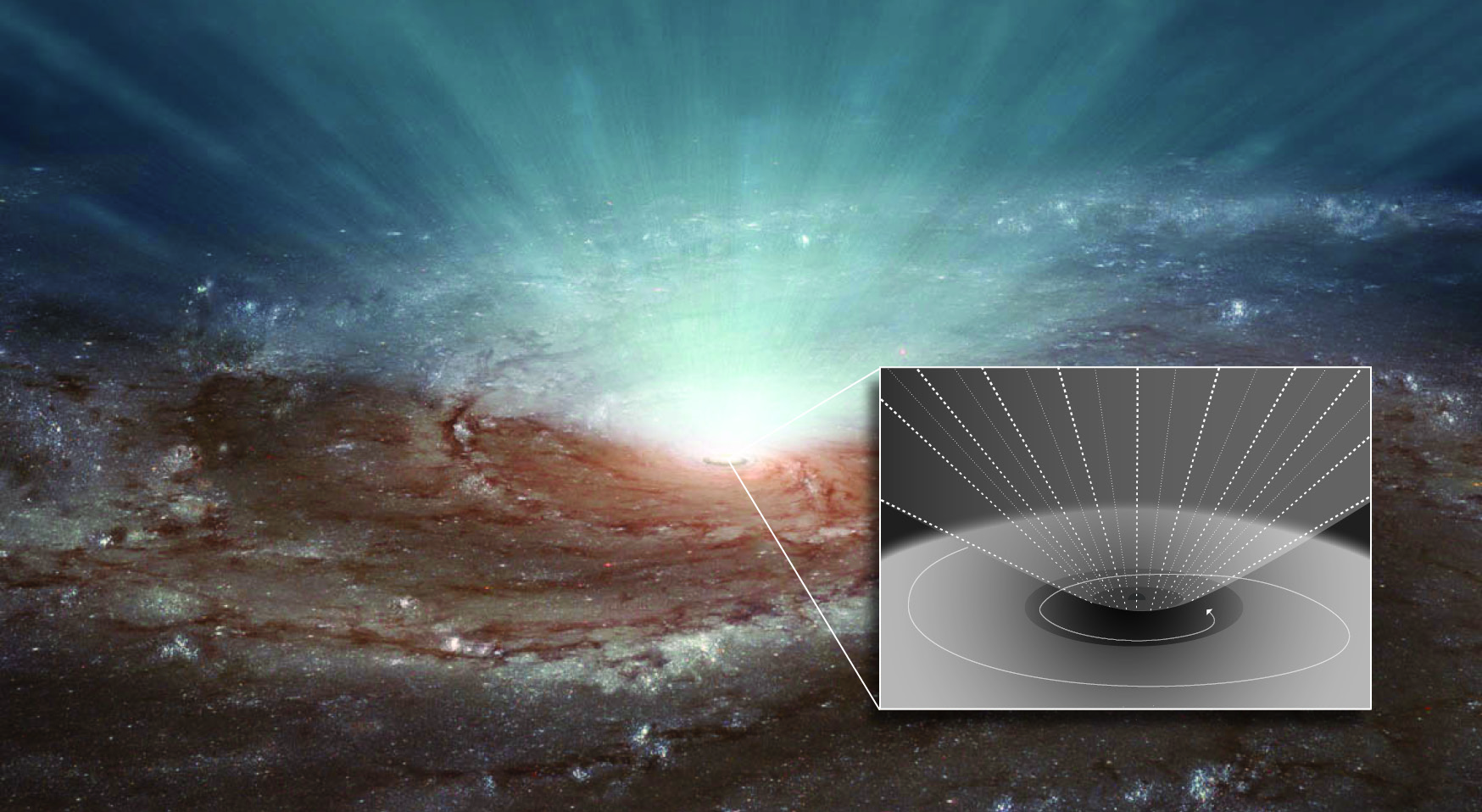 Winds of Supermassive Black Holes Can Shape Galaxy-Wide Star Formation
