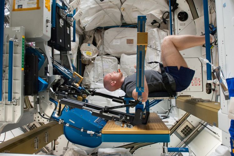 Spaceflight as a Model for Studying Age-Related Muscle Decline