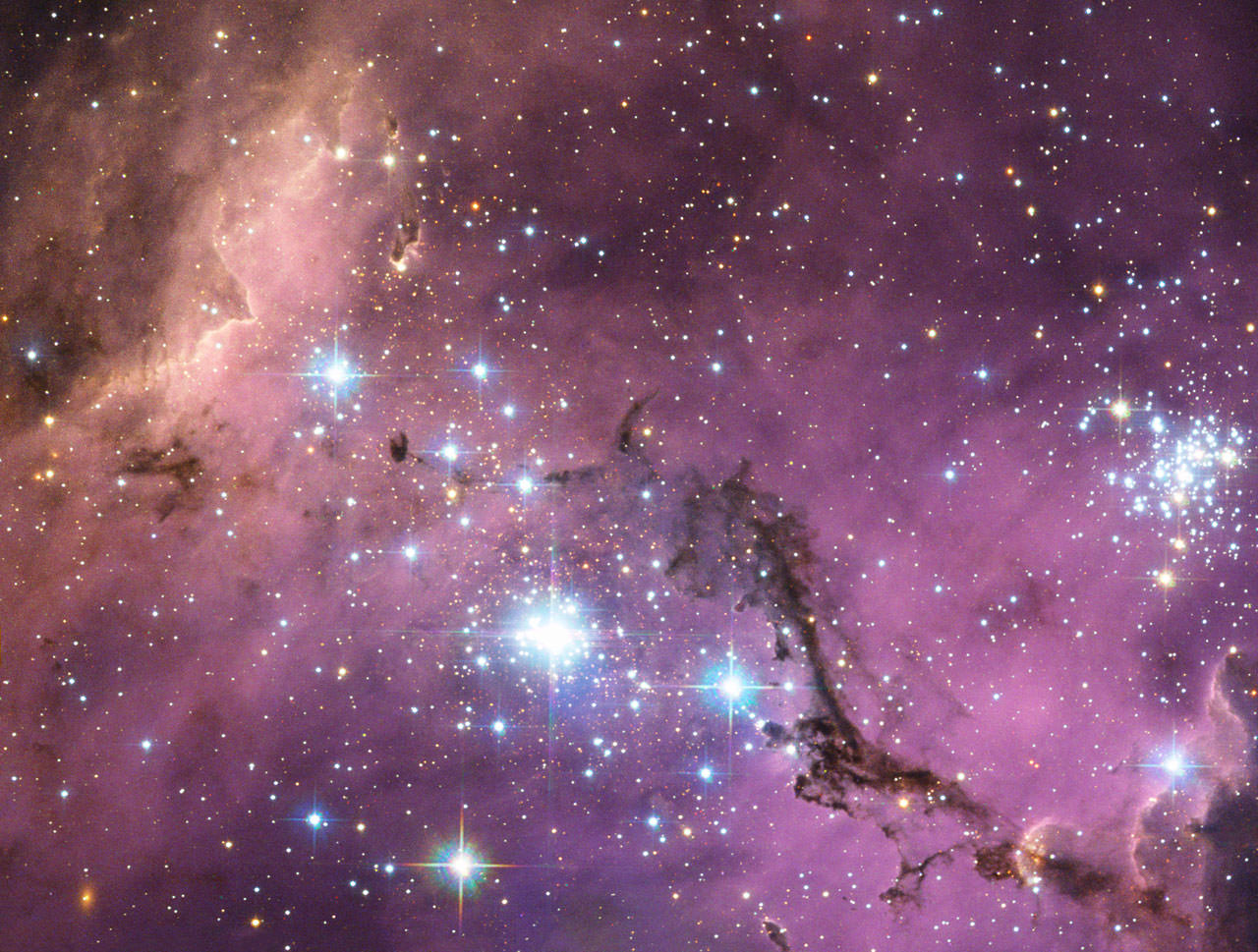 Region in LMC Ablaze with Light and Color