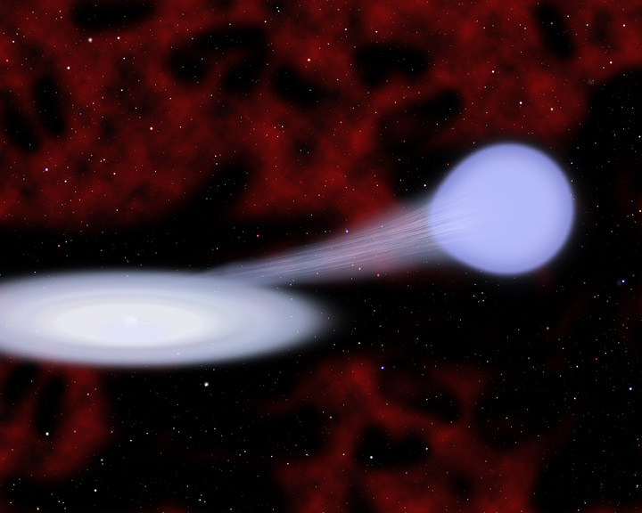 New Kind of "Runt" Supernovae Could be Lurking Unseen