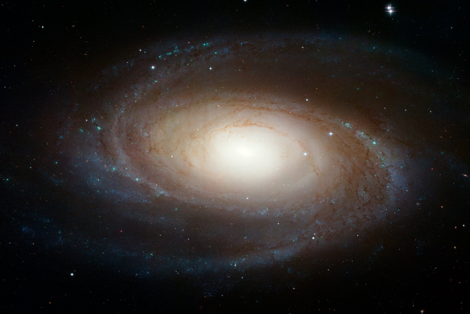 Messier 81 - the Bode Galaxy