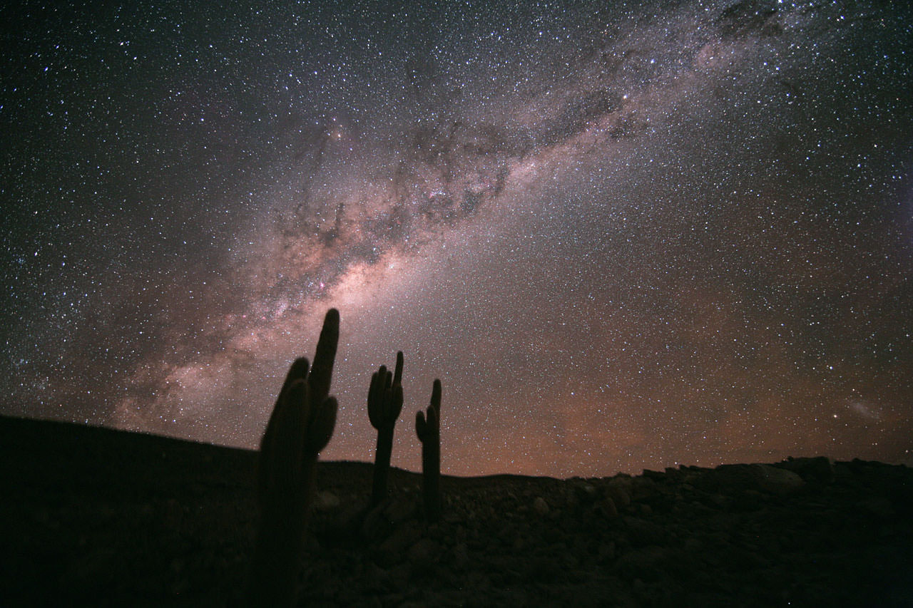 Do Alien Civilizations Inevitably 'Go Green'?