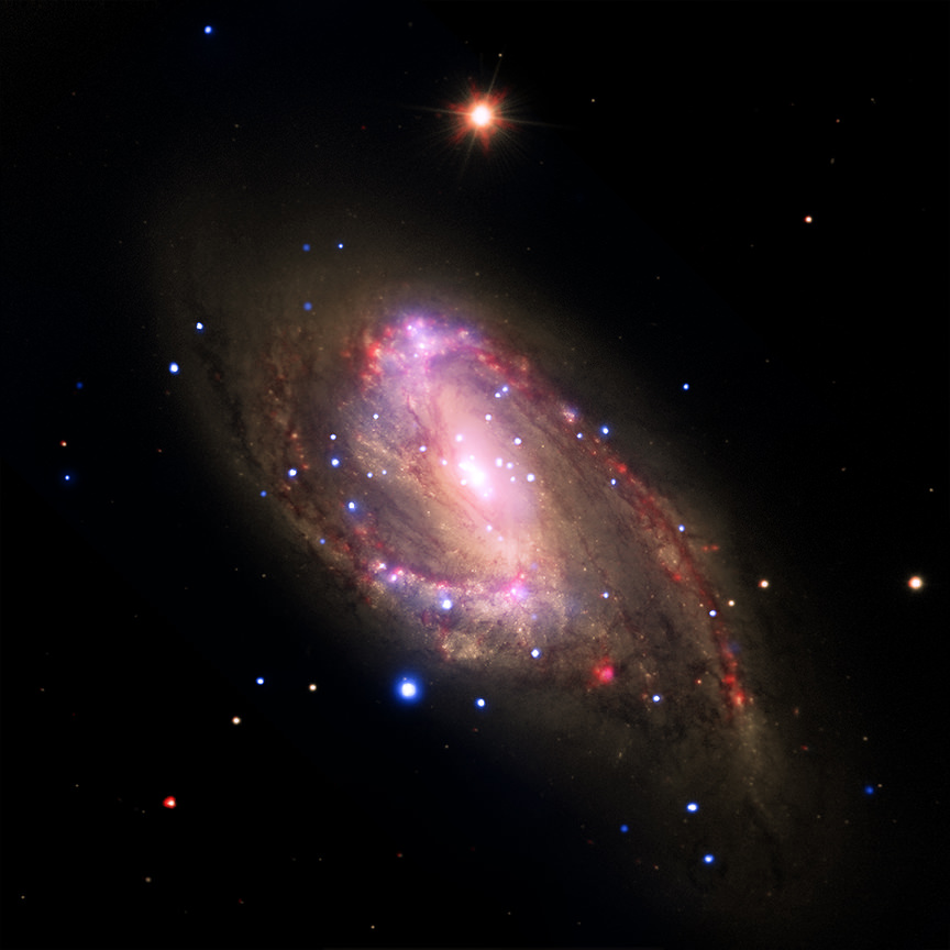 Combining Light to Reveal Monster Black Holes