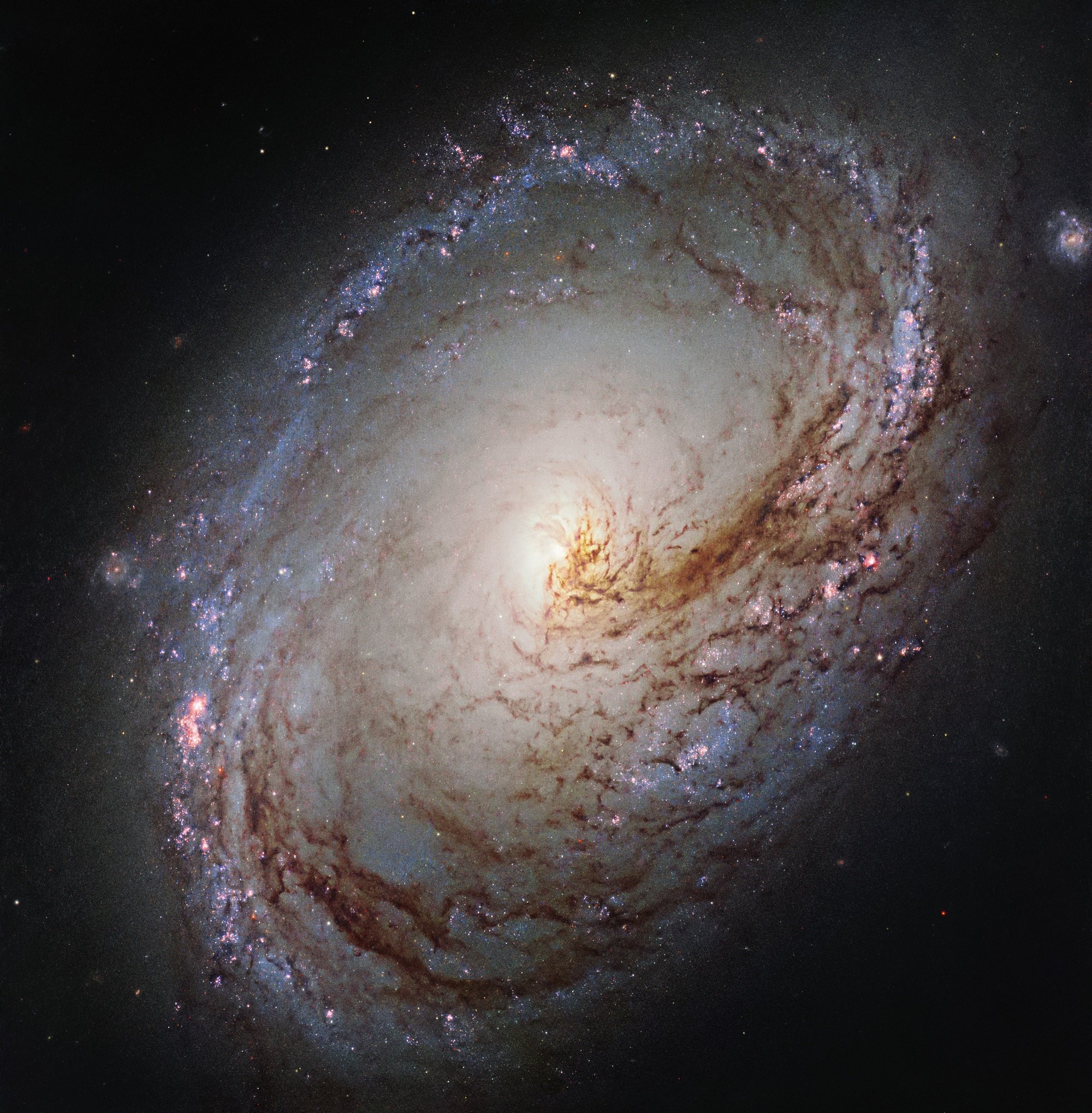 Messier 96 - the NGC 3368 Spiral Galaxy