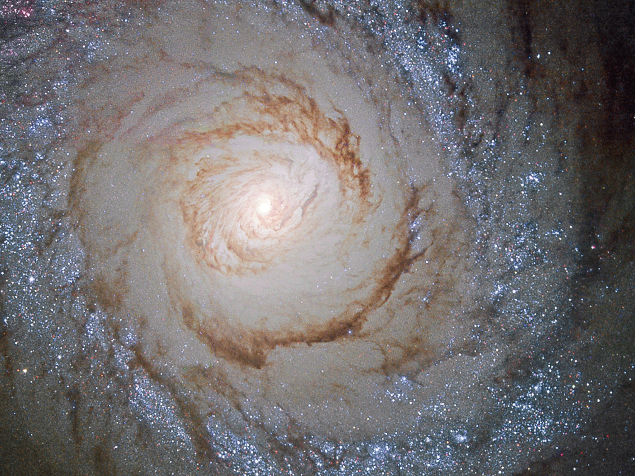 Messier 94 - the Cat's Eye Galaxy
