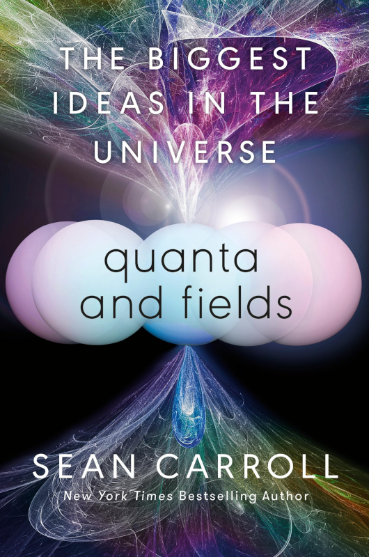 The Biggest Ideas in the Universe – Quanta and Fields
