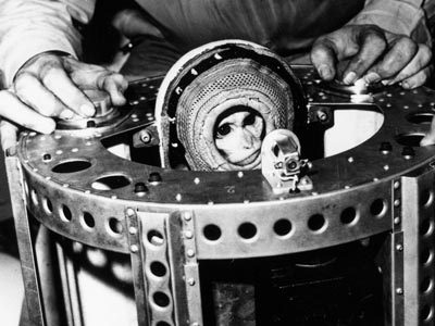 Who were the Space Monkeys?