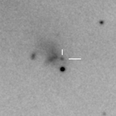 The Strange Case of Supernova SN2008ha