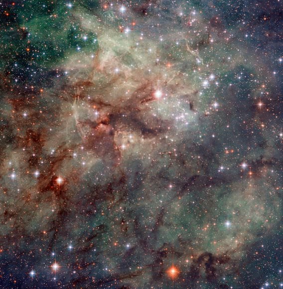 Touching the Tarantula: Hubble Gets in Close