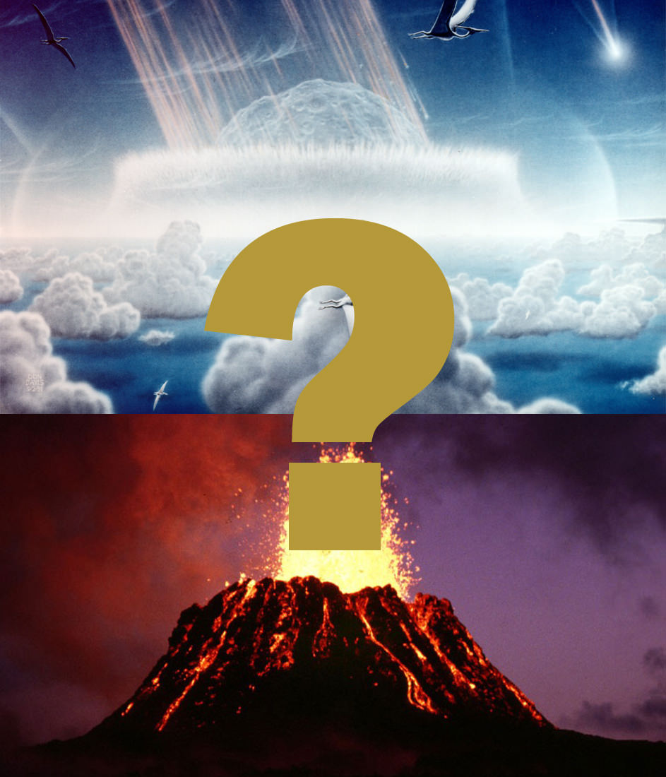 Questioning the Impact Theory: What Really Killed the Dinosaurs?