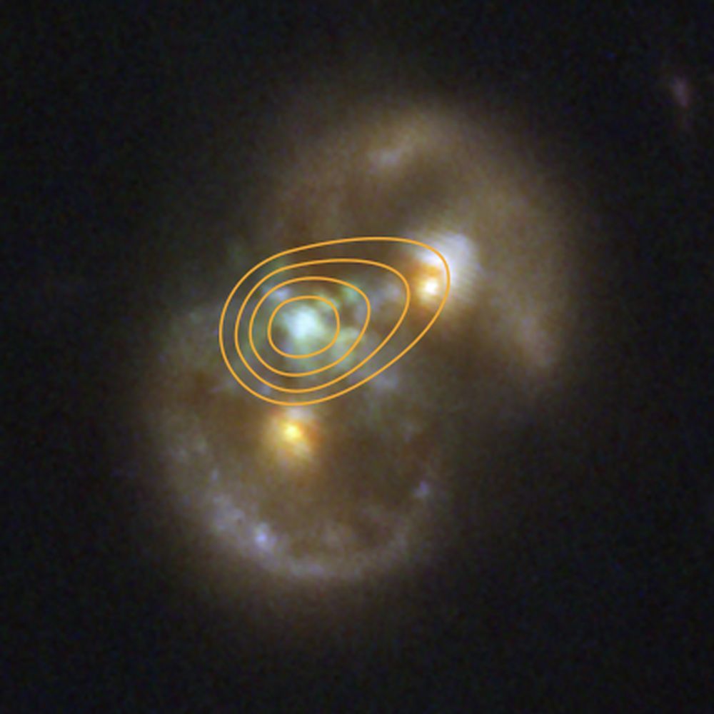 The JWST Might Have Found the First Direct-Collapse Black Hole