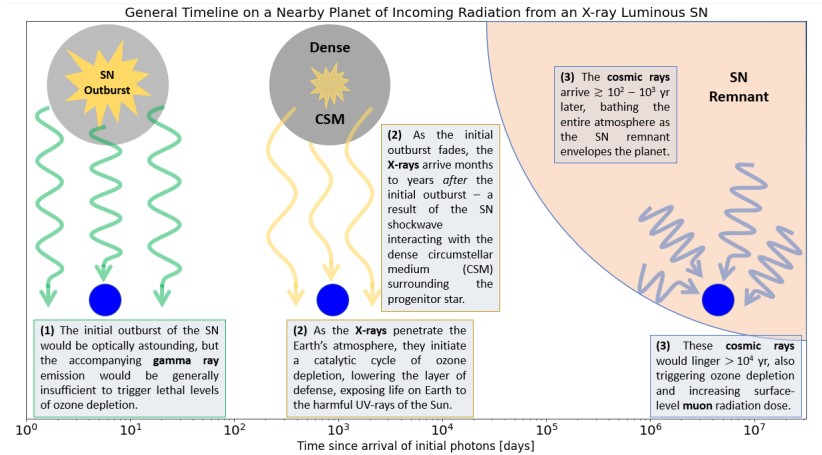 This figure from the study shows a timeline of radiation exposure for a planet close to a luminous x-ray supernova. Image Credit: Brunton et. al 2022.